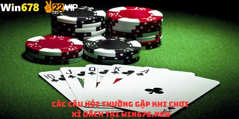Các Câu Hỏi Thường Gặp Khi Chơi Xì Dách Tại Win678.new