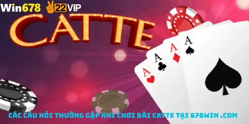 Các câu hỏi thường gặp khi Chơi Bài Catte Tại 678Win .co