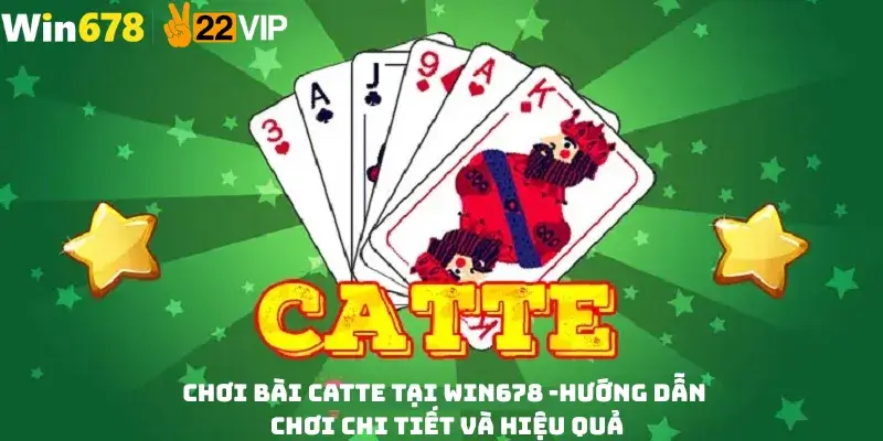 Kinh nghiệm chơi Catte tại Win678 hiệu quả