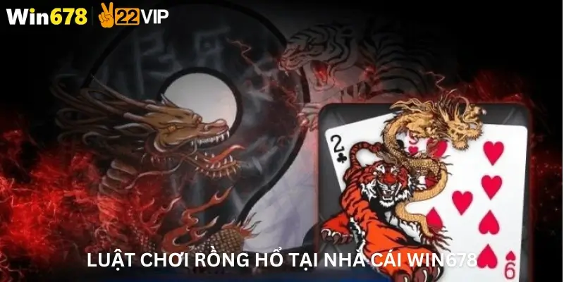 Luật chơi Rồng Hổ tại nhà cái Win678