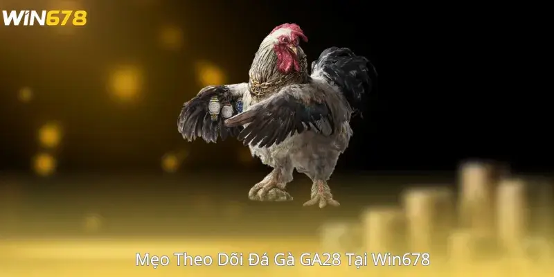 Mẹo Theo Dõi Đá Gà GA28 Tại Win678